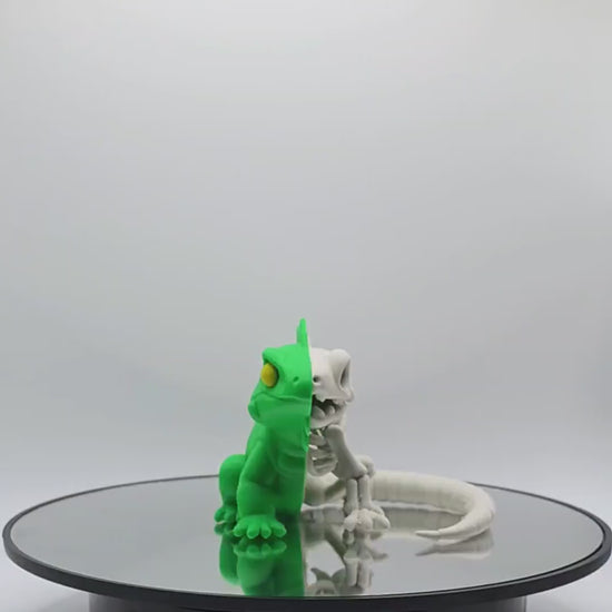 Half-Anatomy Iguana Figure – Bold Creature Display