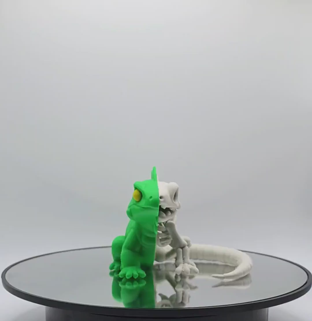Half-Anatomy Iguana Figure – Bold Creature Display